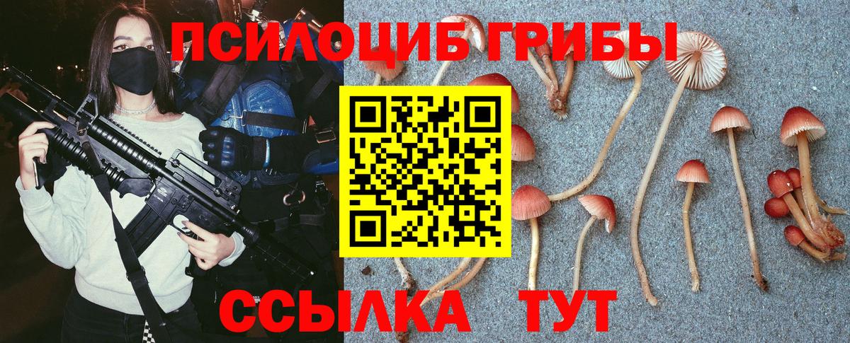 Псилоцибиновые грибы GOLDEN TEACHER Кинешма