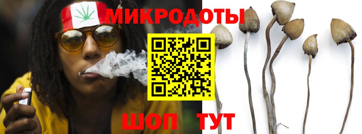 Кинешма  Галлюциногенные грибы мицелий  Вход с VPN  Псилоцибиновые грибы Magic Shrooms 